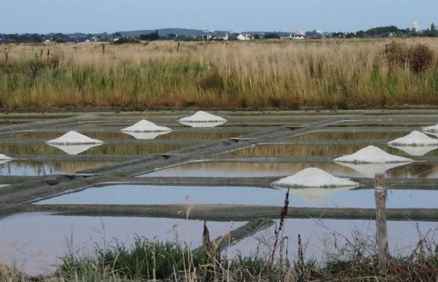 Marais salants Gurande